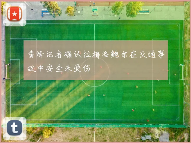 黄蜂记者确认拉梅洛鲍尔在交通事故中安全未受伤